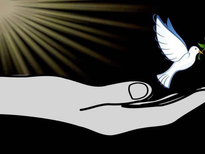 heavenly dove representing Jesus revealed by the hand of God