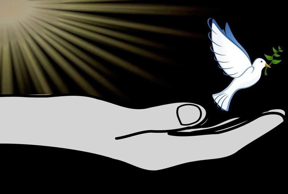 heavenly dove representing Jesus revealed by the hand of God